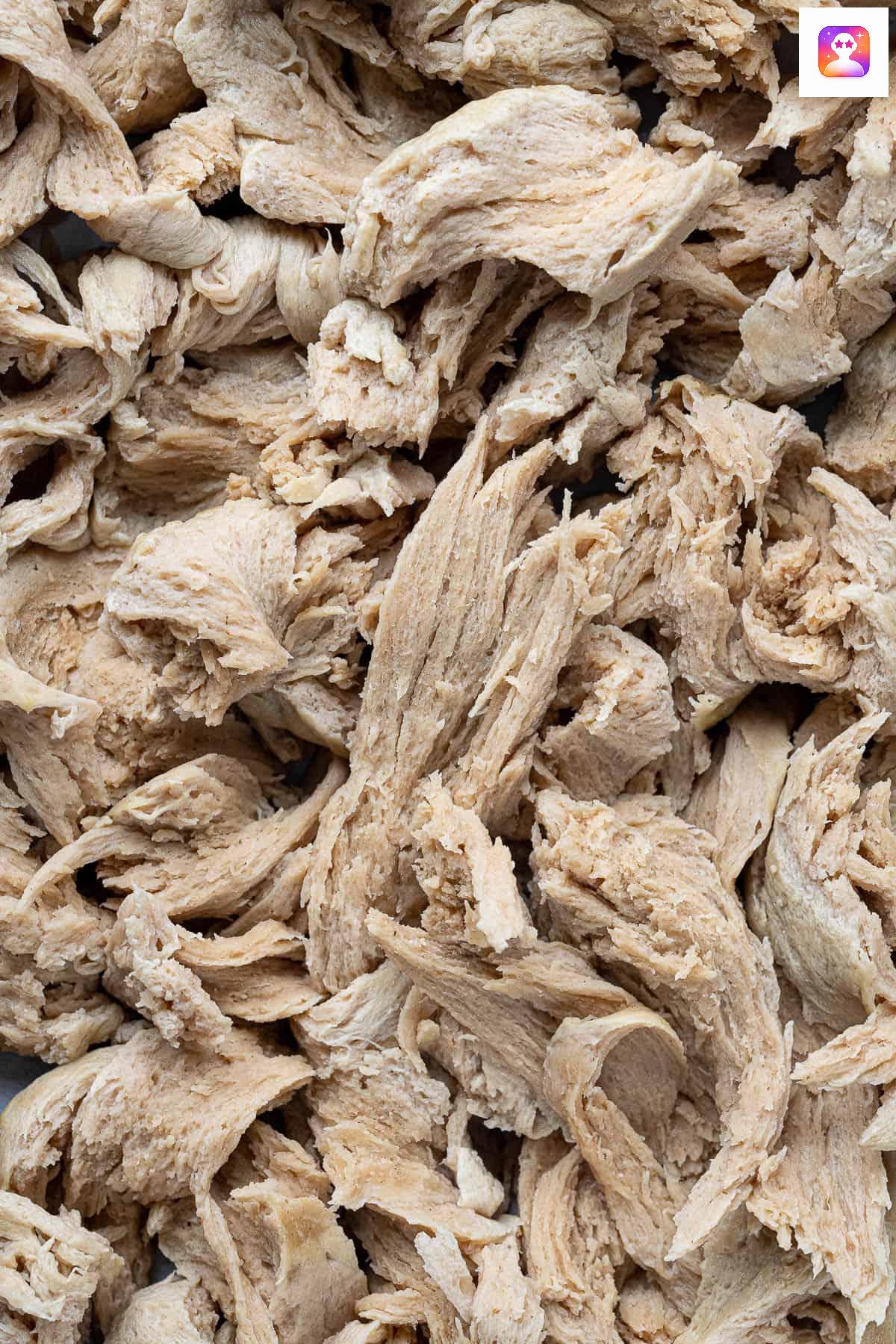 Close up of the shredded seitan.